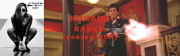 стафф Магадан