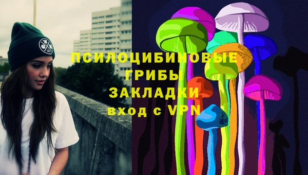 МДПВ Медвежьегорск